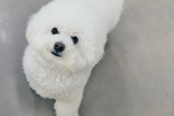 사진출처=gettyimagesbank