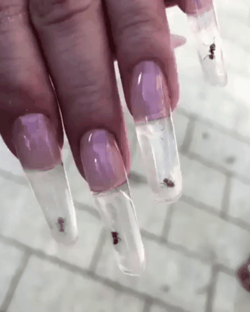 사진출처='nail_sunny' instagram