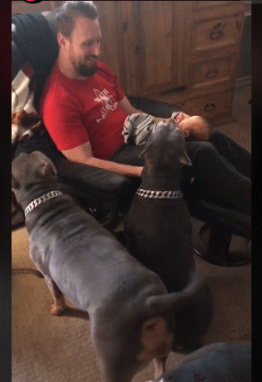 사진출처='@thebullydistrict' TikTok