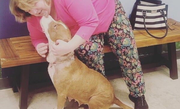 사진출처='Tuscaloosa Metro Animal Shelter' Facebook