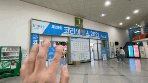 사진출처=이바우애니멀