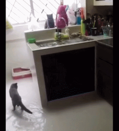 사진출처='@zultaylor' TikTok