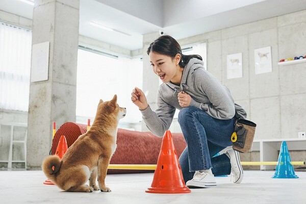 사진출처=gettyimagesbank