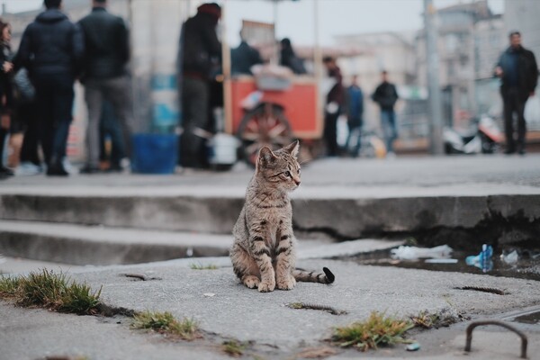 사진출처=gettyimagesbank