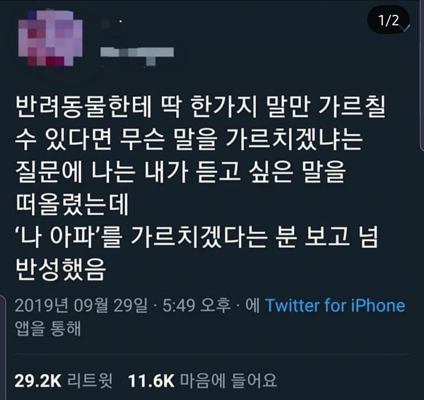 사진출처=온라인커뮤니티 / Twitter