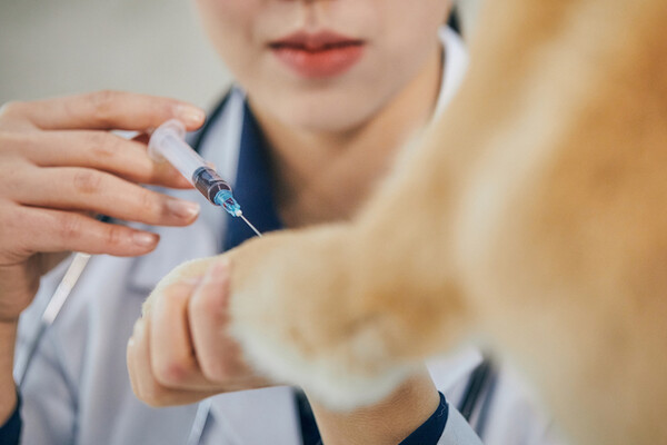 사진출처=gettyimagesbank