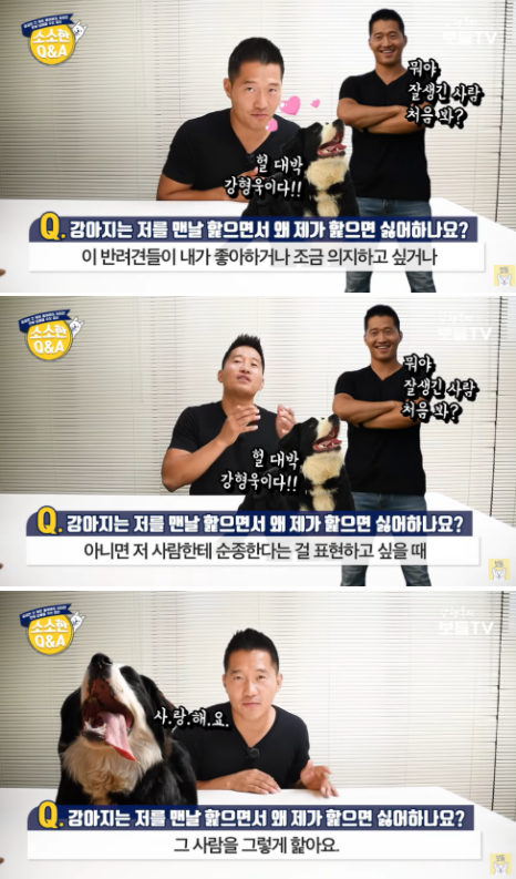 사진출처=YouTube '강형욱의 보듬TV'