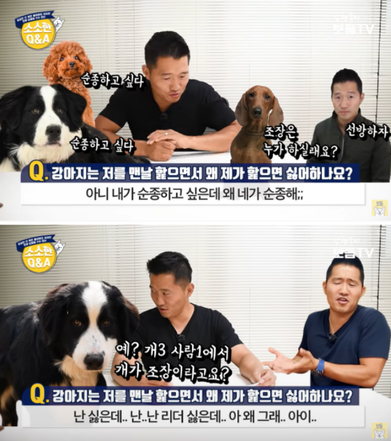 사진출처=YouTube '강형욱의 보듬TV'