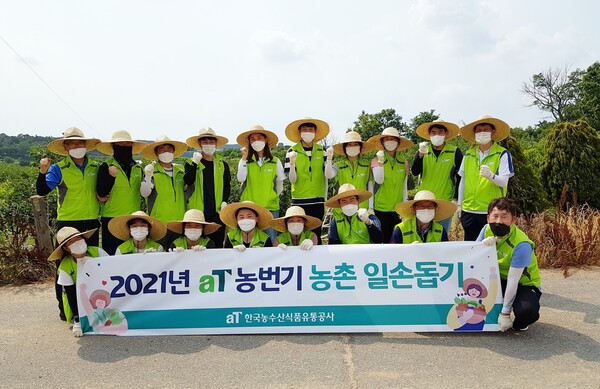 한국농수산식품유통공사, 농촌일손돕기 구슬땀
