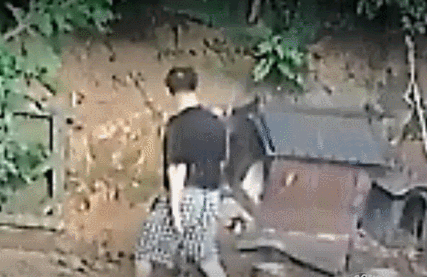 사진출처=비글구조네트워크 공식 블로그