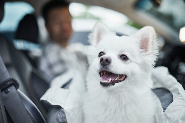 사진출처=gettyimagesbank