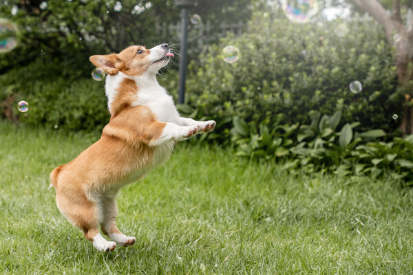 사진출처=gettyimagesbank