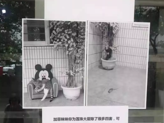 사진출처=新浪首页