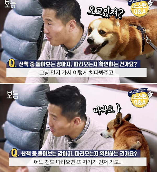 사진출처ⓒ=YouTube '강형욱의 보듬TV'