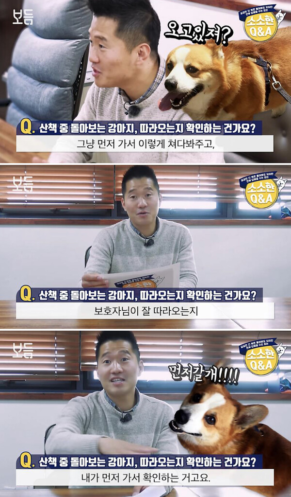 사진출처ⓒ=YouTube '강형욱의 보듬TV'