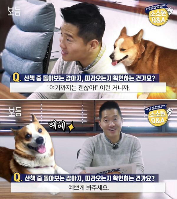 사진출처ⓒ=YouTube '강형욱의 보듬TV'