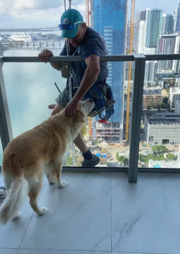 사진출처='@englishgoldenkobe' Instagram