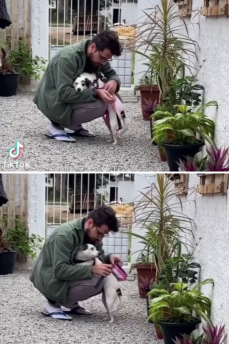 사진출처='@razoesparaacreditar' TikTok