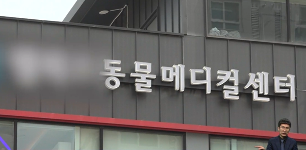 사진출처=SBS