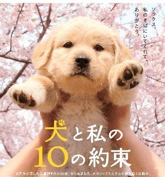 영화 "강아지와 나의 10가지 약속" 출처=네이버 영화