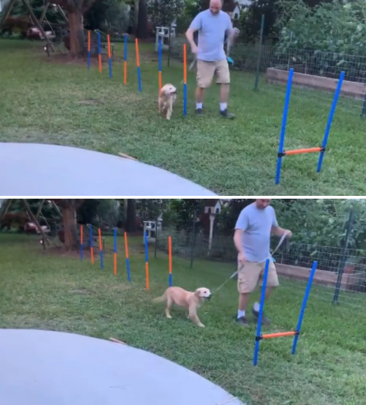 사진출처='@RexChapman' Twitter