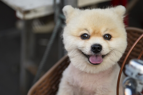 사진출처=gettyimagesbank