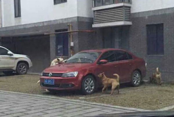 출처=CCTV 뉴스