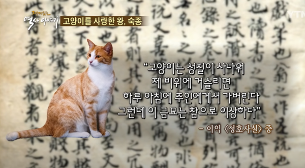 (출처=YTN news 공식 유튜브 채널)