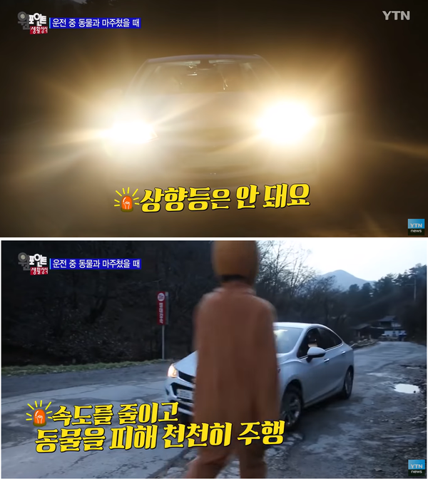 사진출처=YouTube 'YTN news'