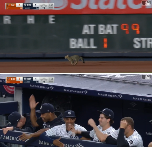 사진출처ⓒ=MLB.com