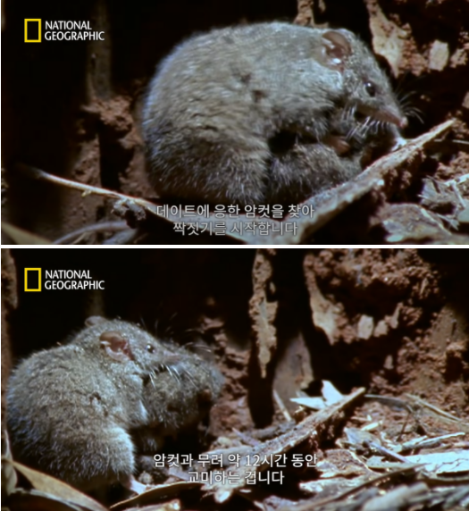 사진출처=YouTube 'National Geographic Korea'