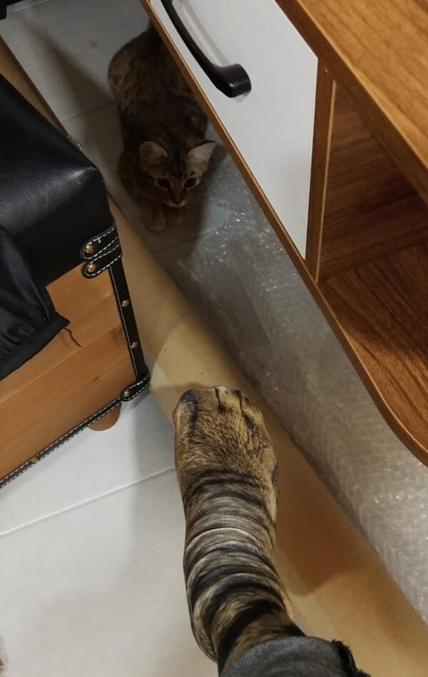 사진출처ⓒ='@BR0KEB1TCH' Twitter