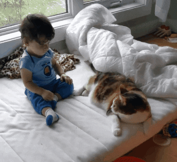 사진출처ⓒ=Giphy