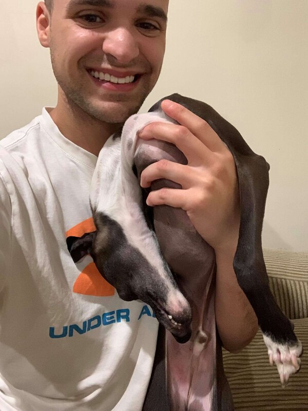 사진출처='@sparkytheitaliangreyhound' instagram