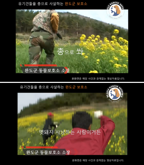 사잔출처='(사)비글구조네트워크' 공식 블로그
