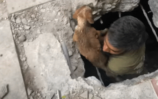 사진출처=YouTube 'Animal Warriors Conservation Society'