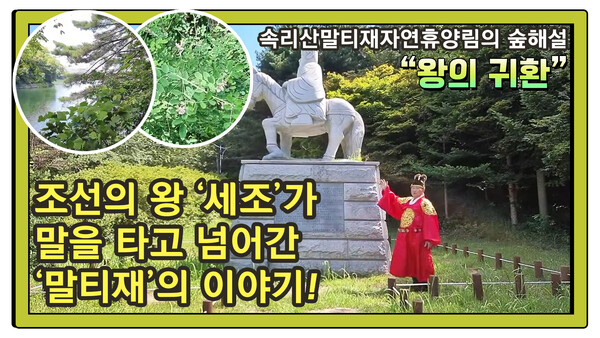집에서 실시간으로 보고 느끼는 국립자연휴양림