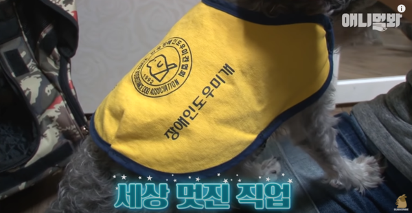 (출처=SBS TV 동물농장X애니멀봐 공식 유튜브 채널)