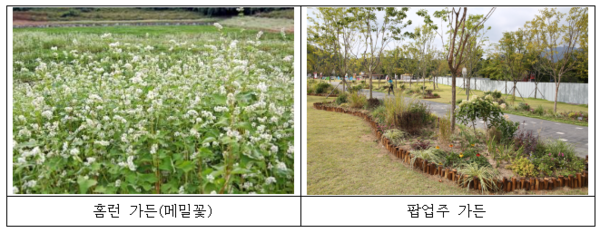 서울대공원 홈런가든, 팝업주 가든
