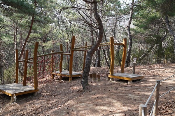 양평치유의숲