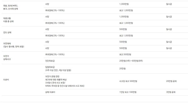 보장내용 *15세 미만은 사망담보 제외