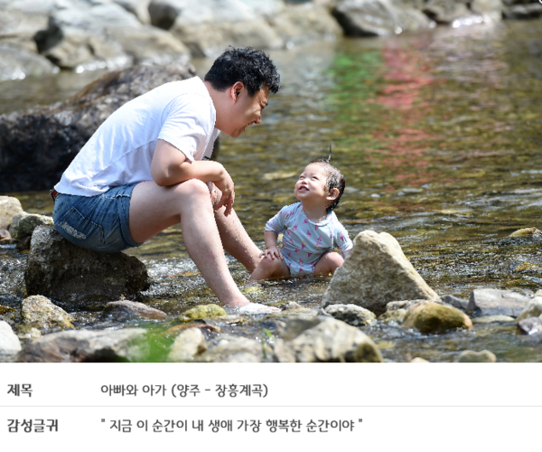 청정계곡 관광명소 육성사업 양주 장흥계곡 등 14개소에서 확대 추진