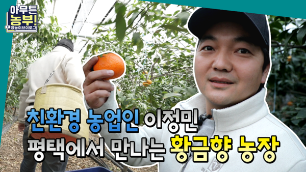 오성황금향(이정민)썸네일