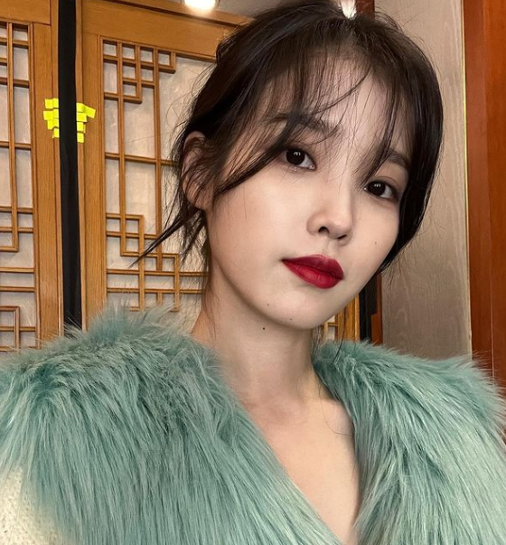 아이유, 데뷔 14주년 기념 단독콘서트에 2억원까지 기부 “유애나와 함께”