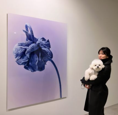 송혜교, 송중기 열애 소식 나온 날 근황 '화제'