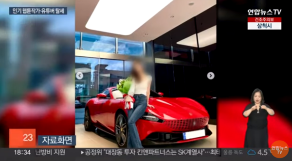 웹툰작가 야옹이, 탈세 의혹에 슈퍼카도 '슬쩍'