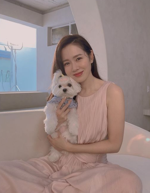 '현빈♥' 손예진, 아들과의 근황에 "미세먼지 체크하는 일 일상"