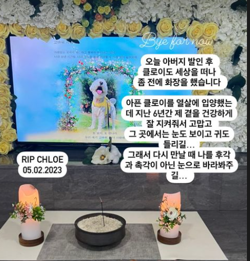 故서세원 딸 서동주, 발인하자마자 또…"좀 전에 화장했다"