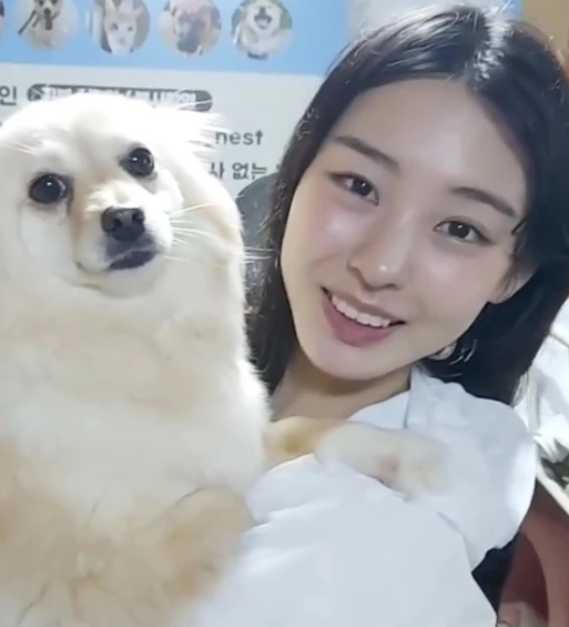 '갑질 논란' 댄서 노제, 근황으로 입양 소식 전해