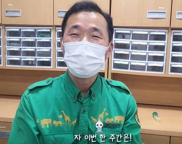 러바오♥아이바오, 푸바오 이어 또 임신? 강바오 입열었다